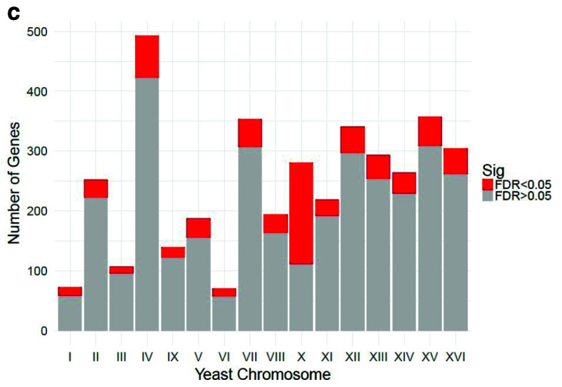 Figure 2c. 