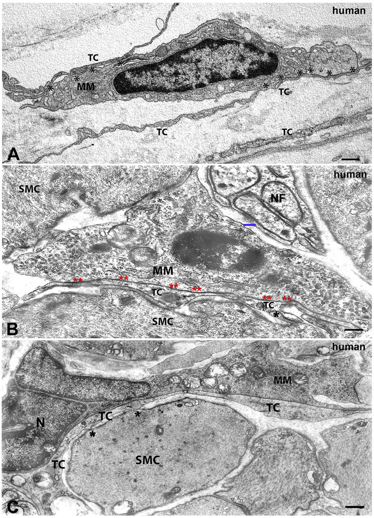 Figure 3.