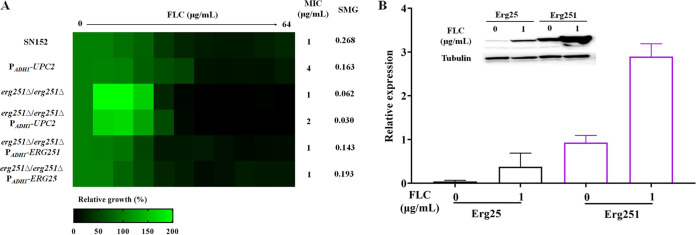 FIG 5