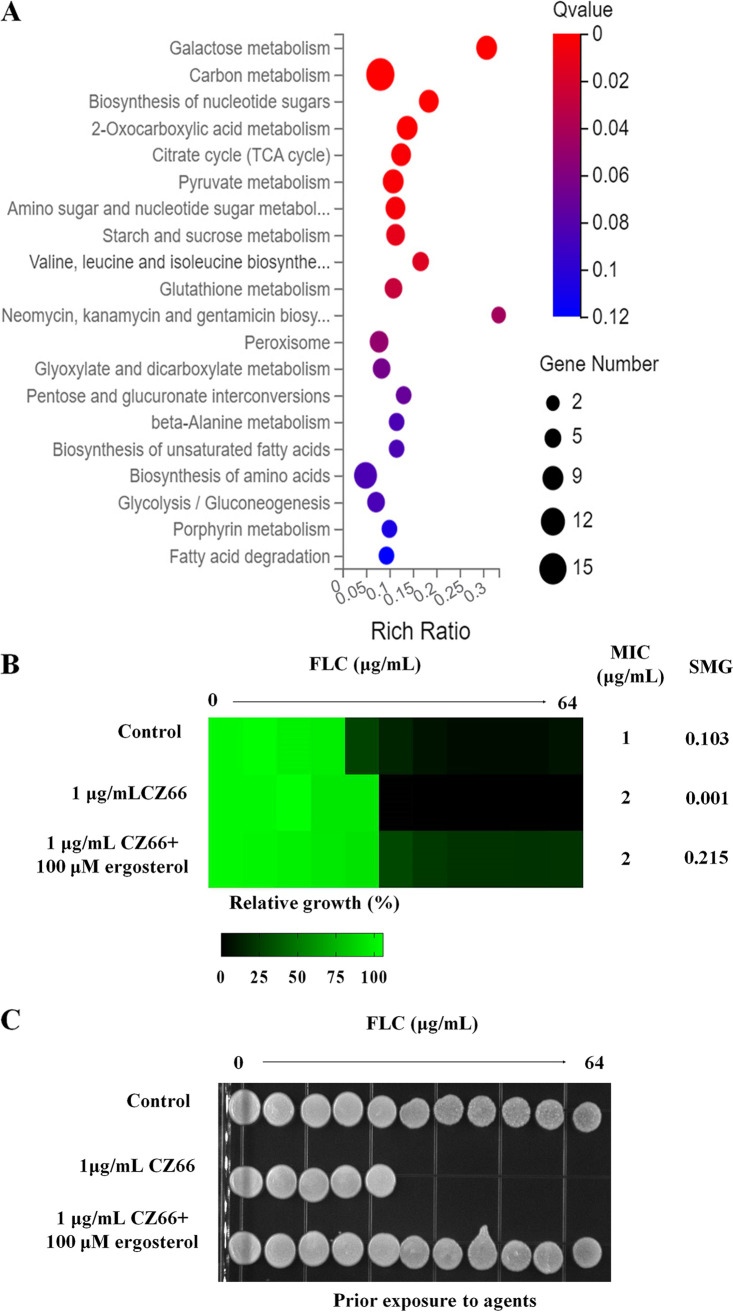 FIG 3