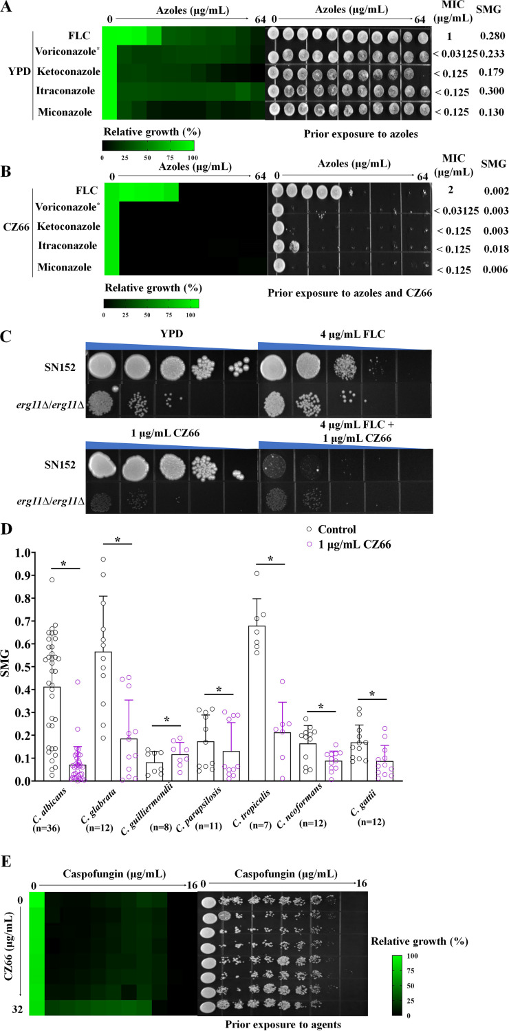 FIG 2