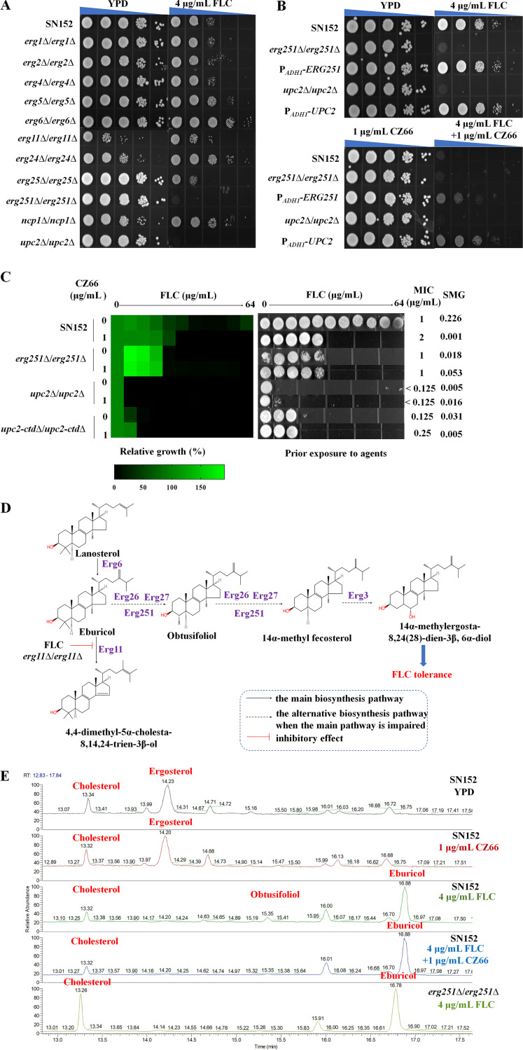 FIG 4