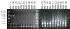 Extended Data Fig. 10