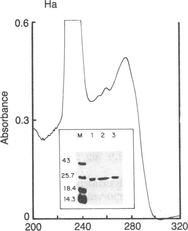 graphic file with name pnas00308-0128-a.jpg