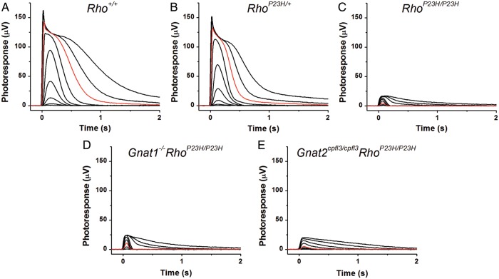 Figure 10.