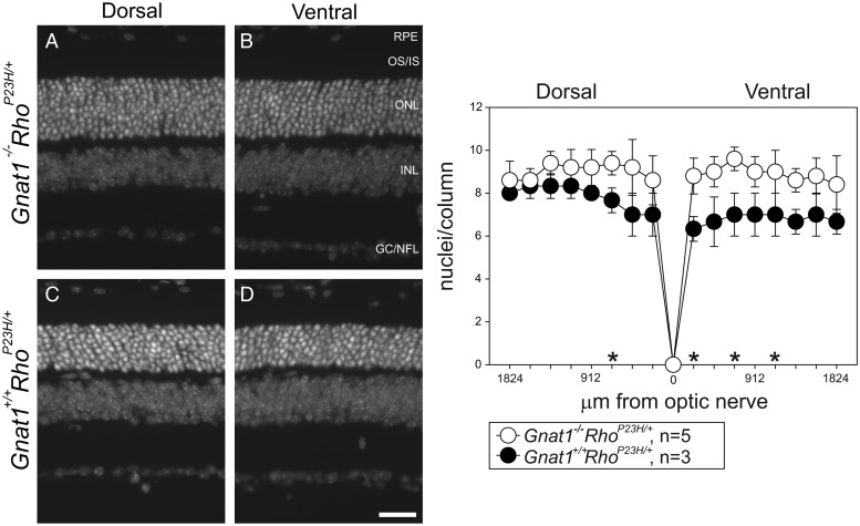 Figure 12.