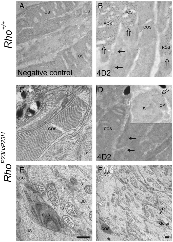 Figure 5.