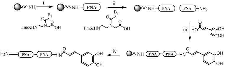 Scheme 1