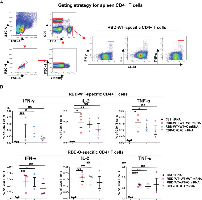 Figure 4