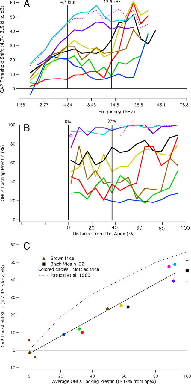 Figure 9.