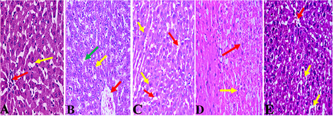 Figure 5.