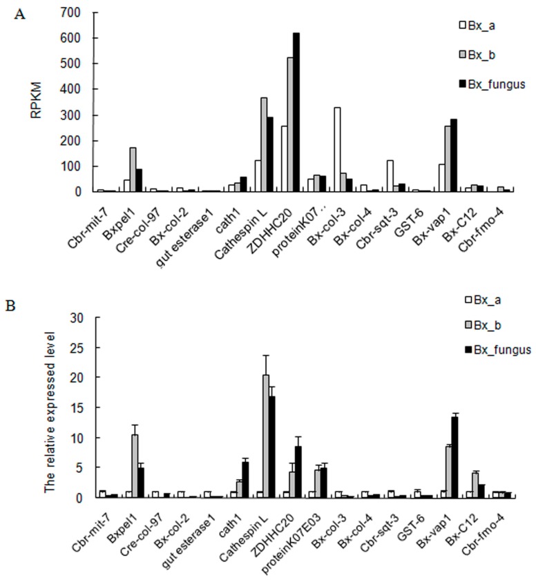 Figure 6