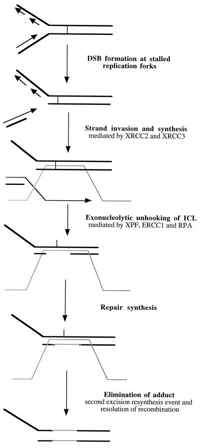 FIG. 8