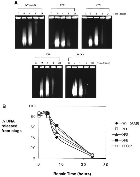 FIG. 7