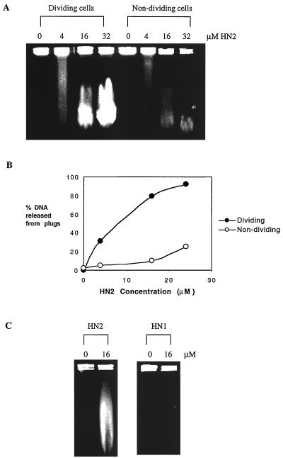 FIG. 5