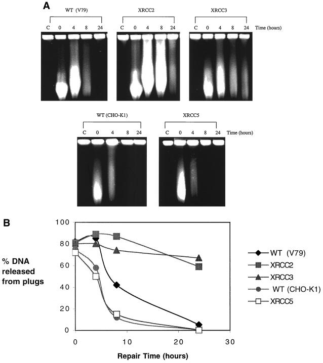 FIG. 6