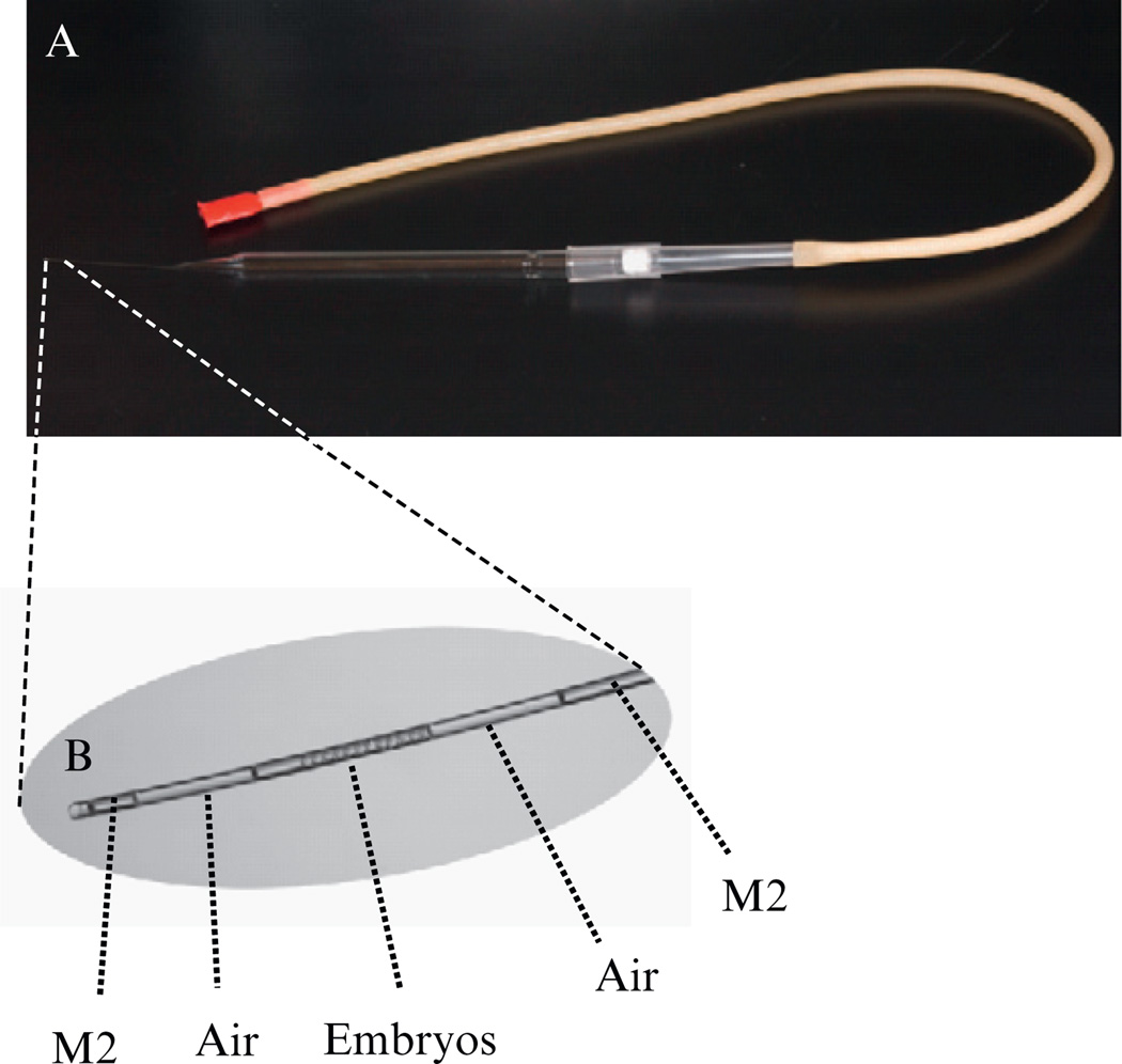 Figure 4.6