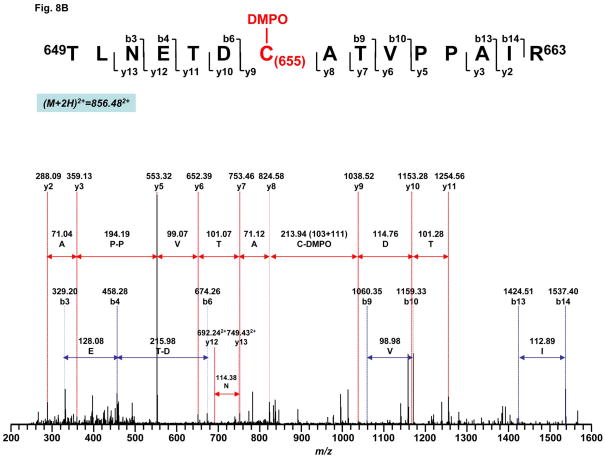 Fig. 8