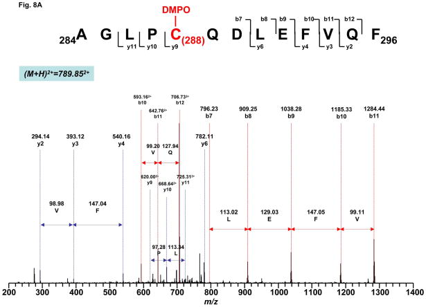 Fig. 8