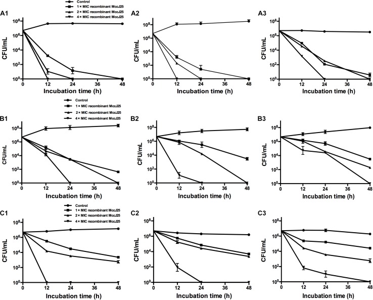 FIGURE 2