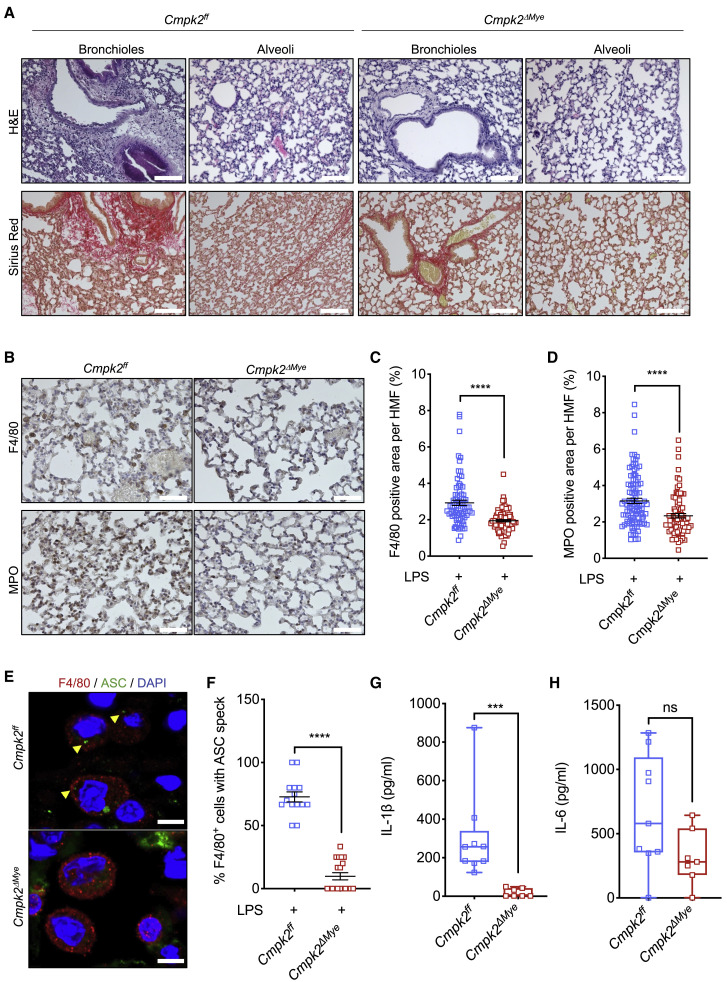 Figure 6