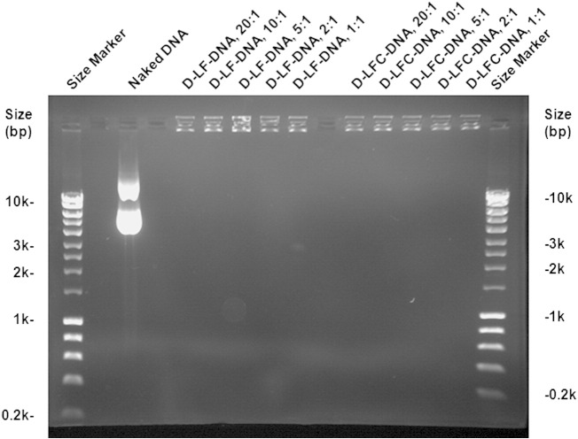 Supplementary Figure 3