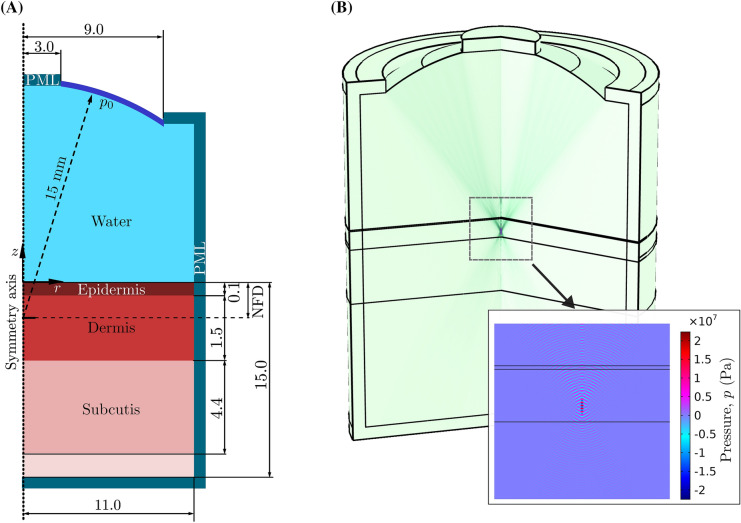 Fig. 1