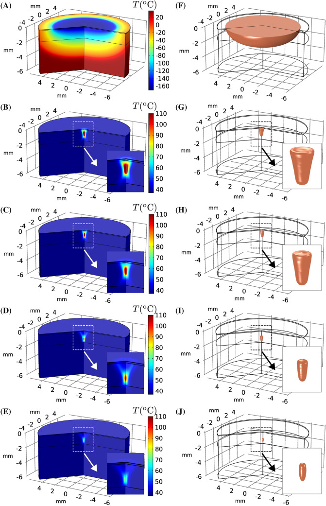 Fig. 4