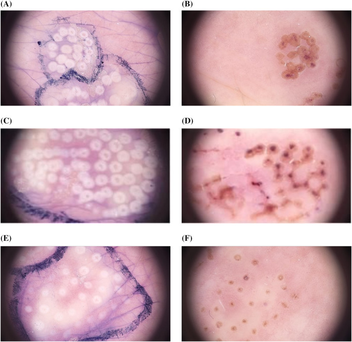 Fig. 7