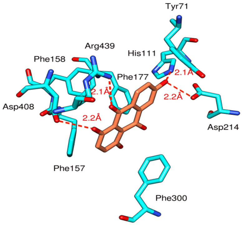 Figure 7