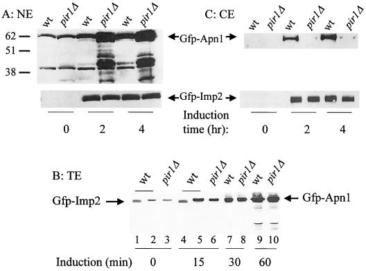 FIG. 6