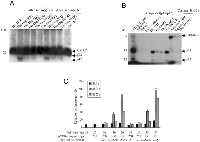 Fig 3.