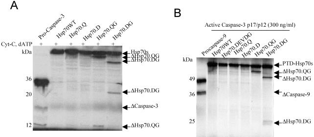 Fig 4.