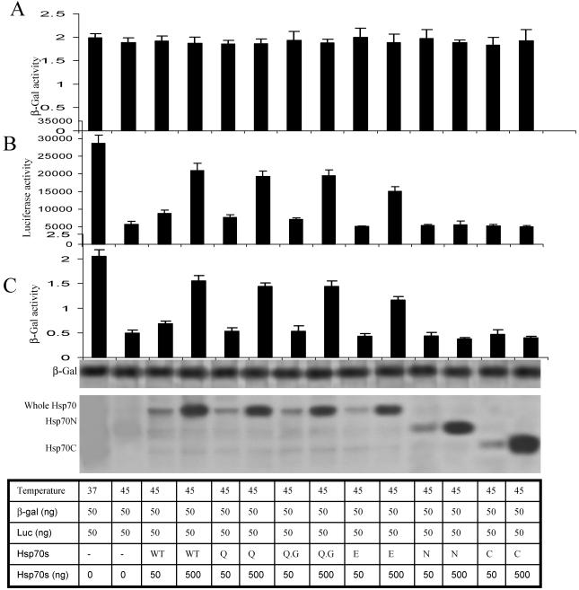 Fig 2.