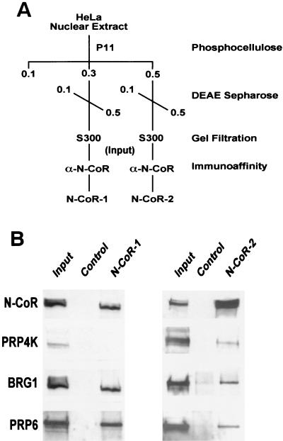 FIG. 8.