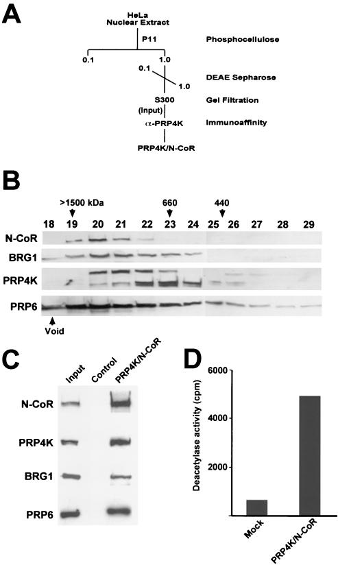 FIG. 9.