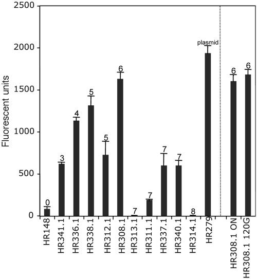 FIG. 2.