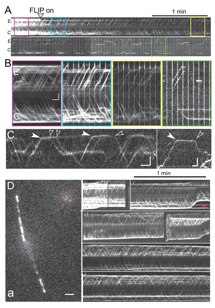 Figure 3—figure supplement 2.