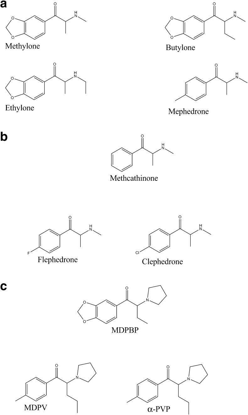 Fig. 1