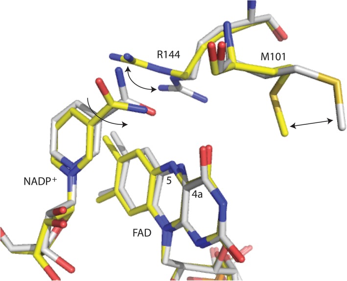 Figure 6