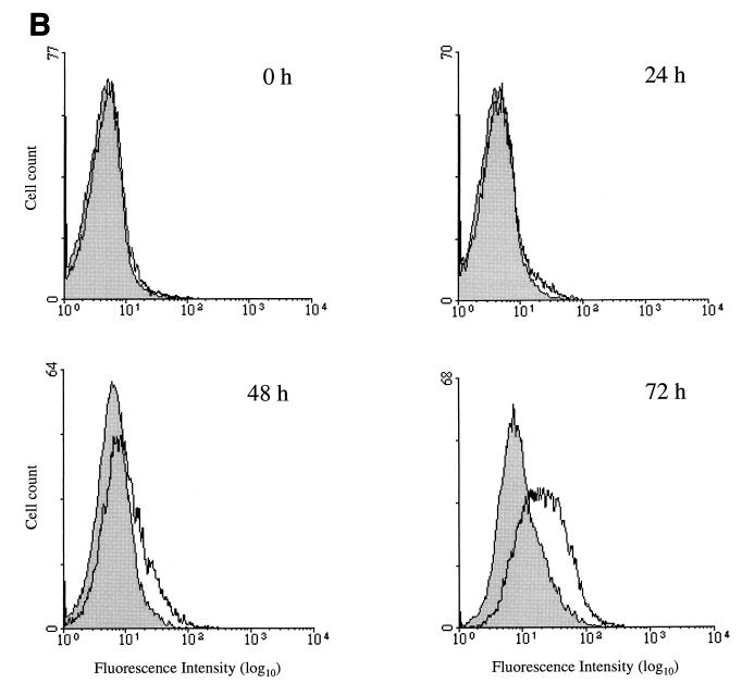 FIG. 7