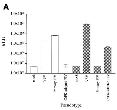 FIG. 6