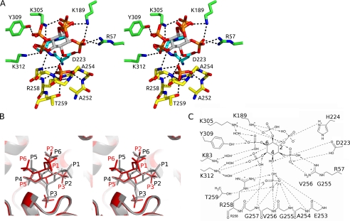 FIGURE 3.