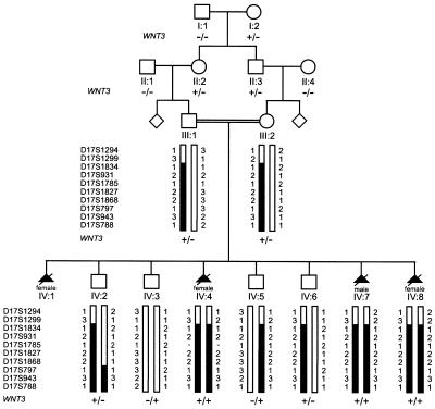 Figure  1