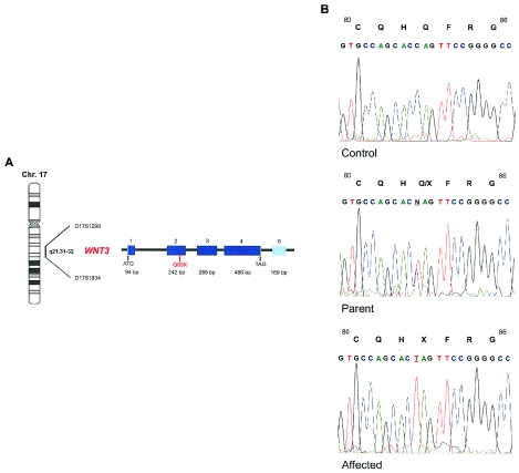 Figure  3