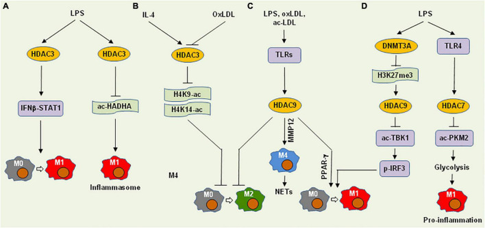 FIGURE 3