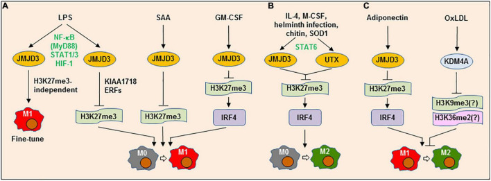 FIGURE 2