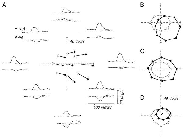 FIG. 5