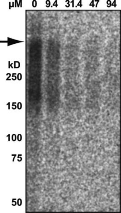 Fig. 21.1