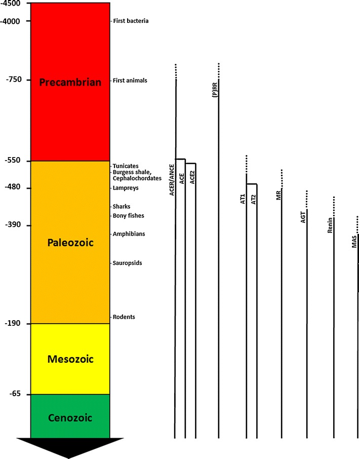 Fig. 6